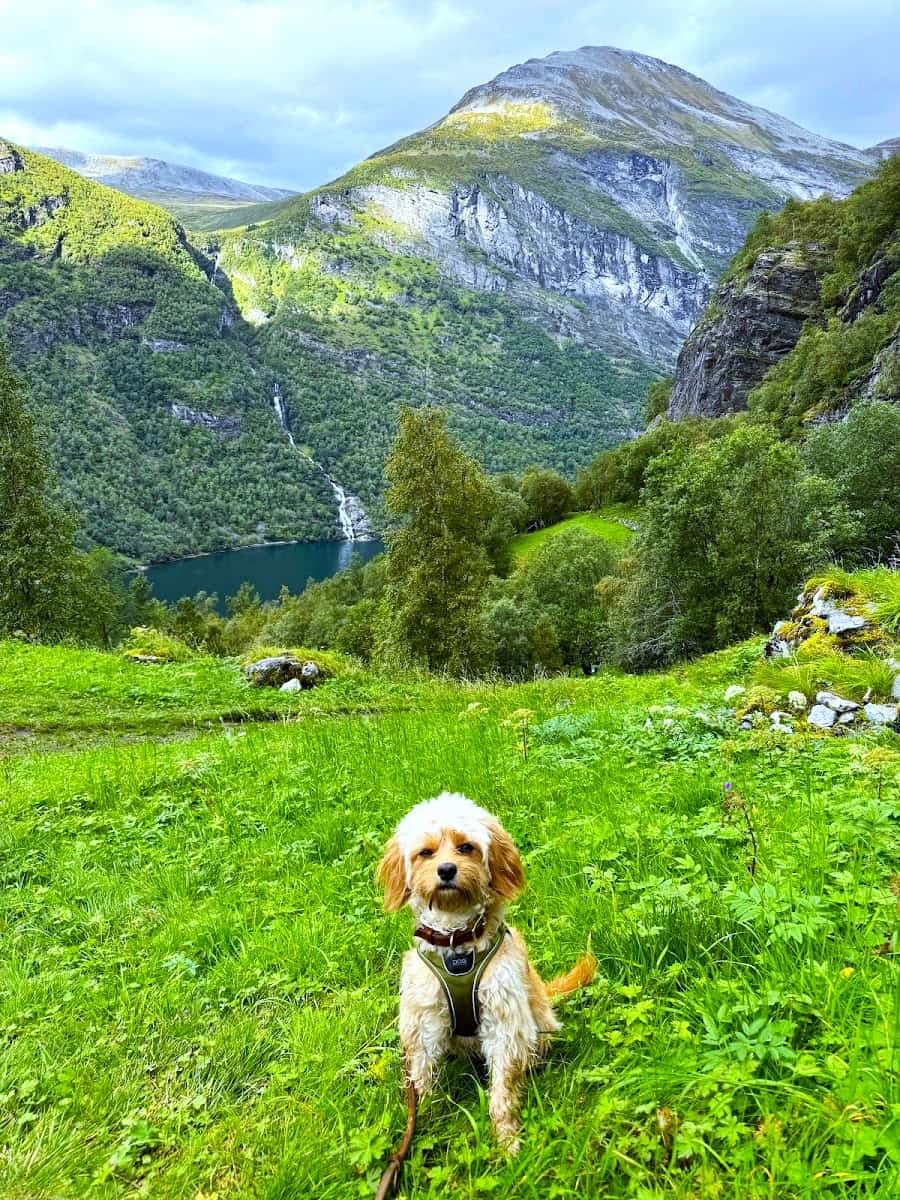 Skageflå, Geiranger