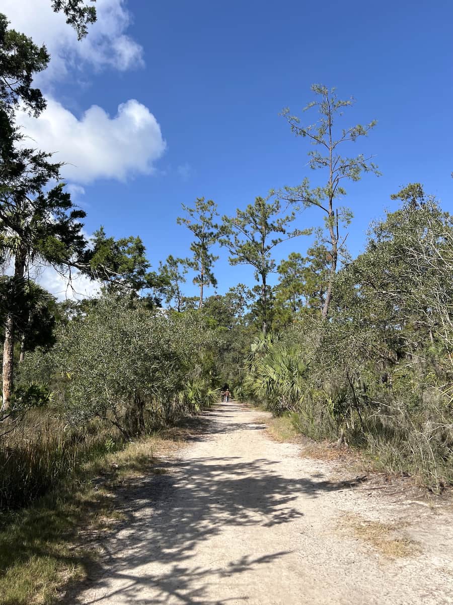 Skidaway Island State Park Savannah