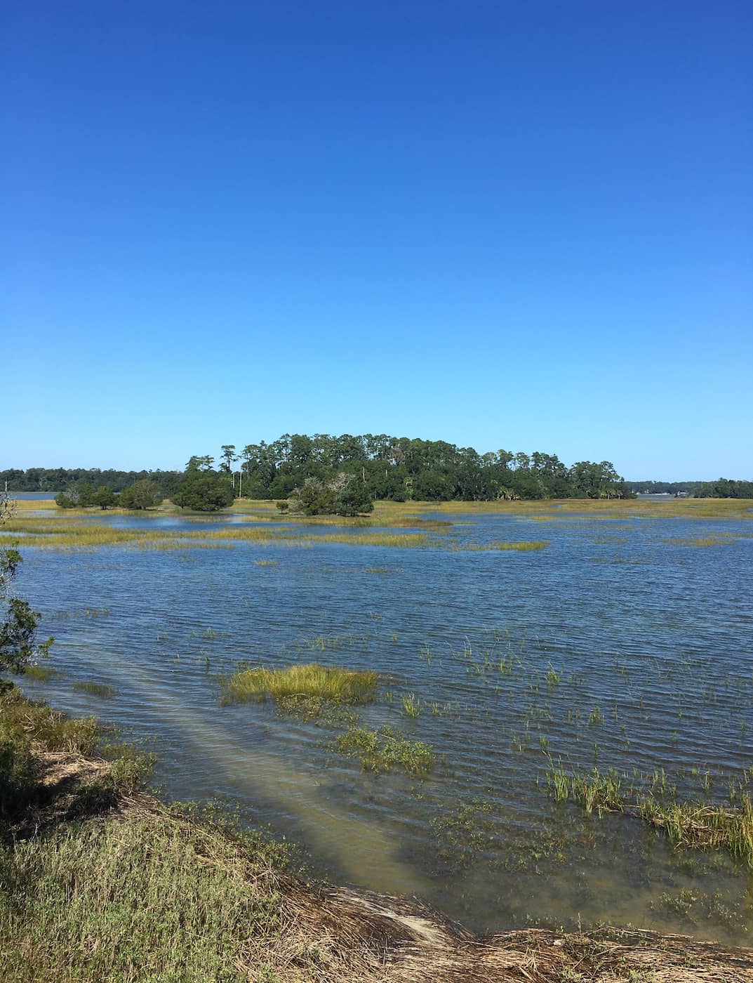 Skidaway Island State Park Savannah