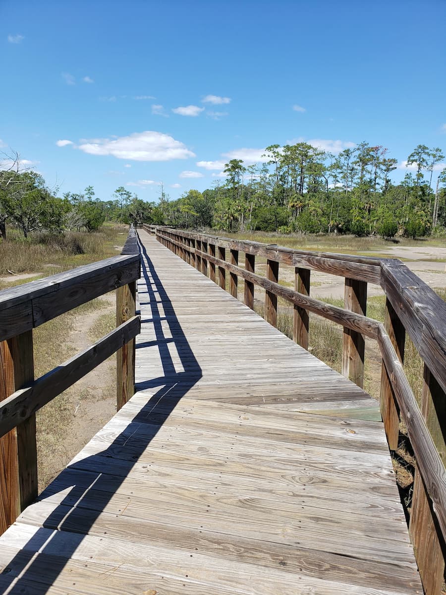Skidaway Island State Park Savannah