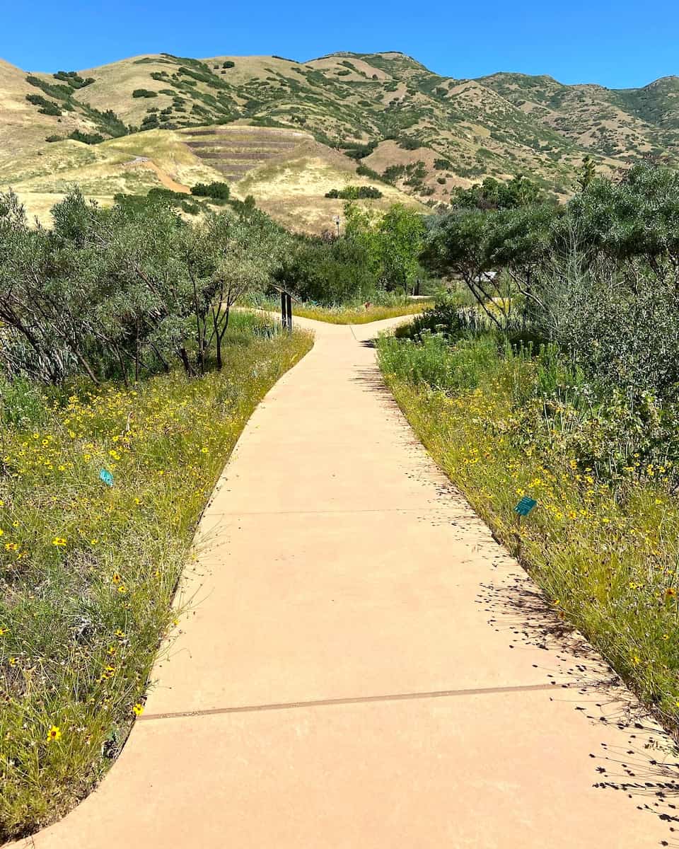 Spring blooms in Red Butte Garden Salt Lake City