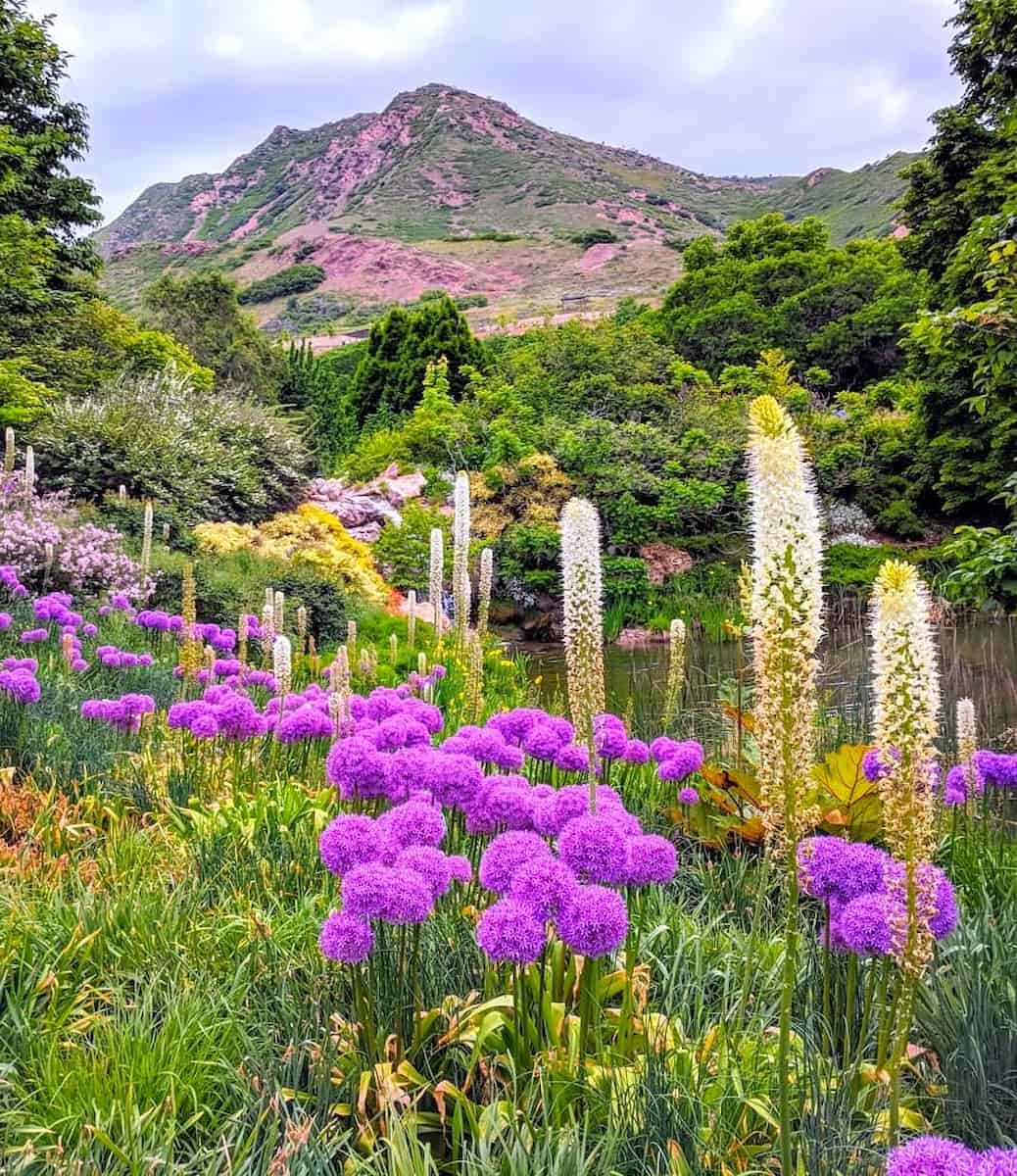 Spring blooms in Red Butte Garden Salt Lake City