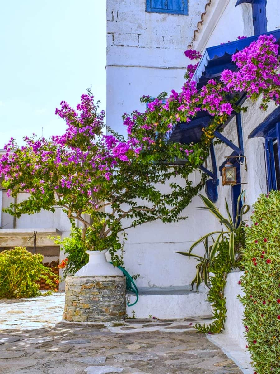 Spring in Skopelos Island