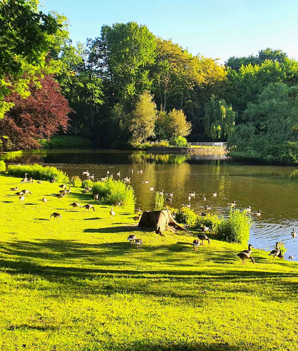 Stadtpark, Lübeck