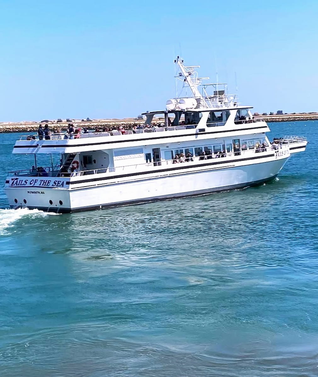 Stellwagen Bank, Boston