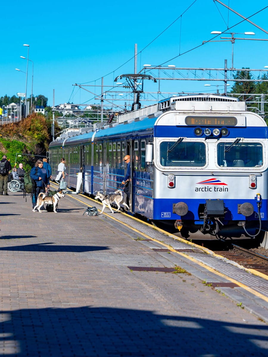 The Arctic Train, Narvik