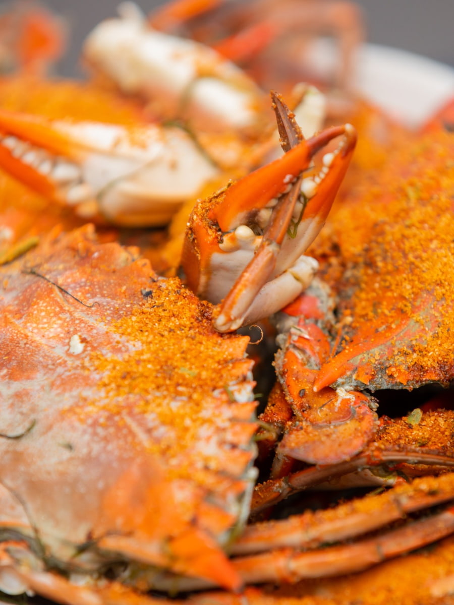  The Little River Blue Crab Festival Myrtle Beach