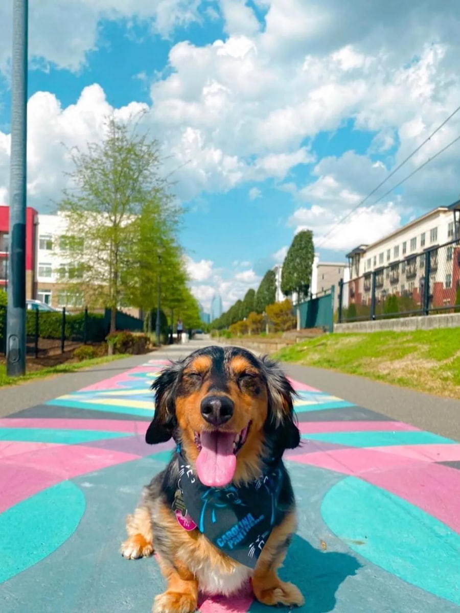 The Rail Trail, Charlotte, NC