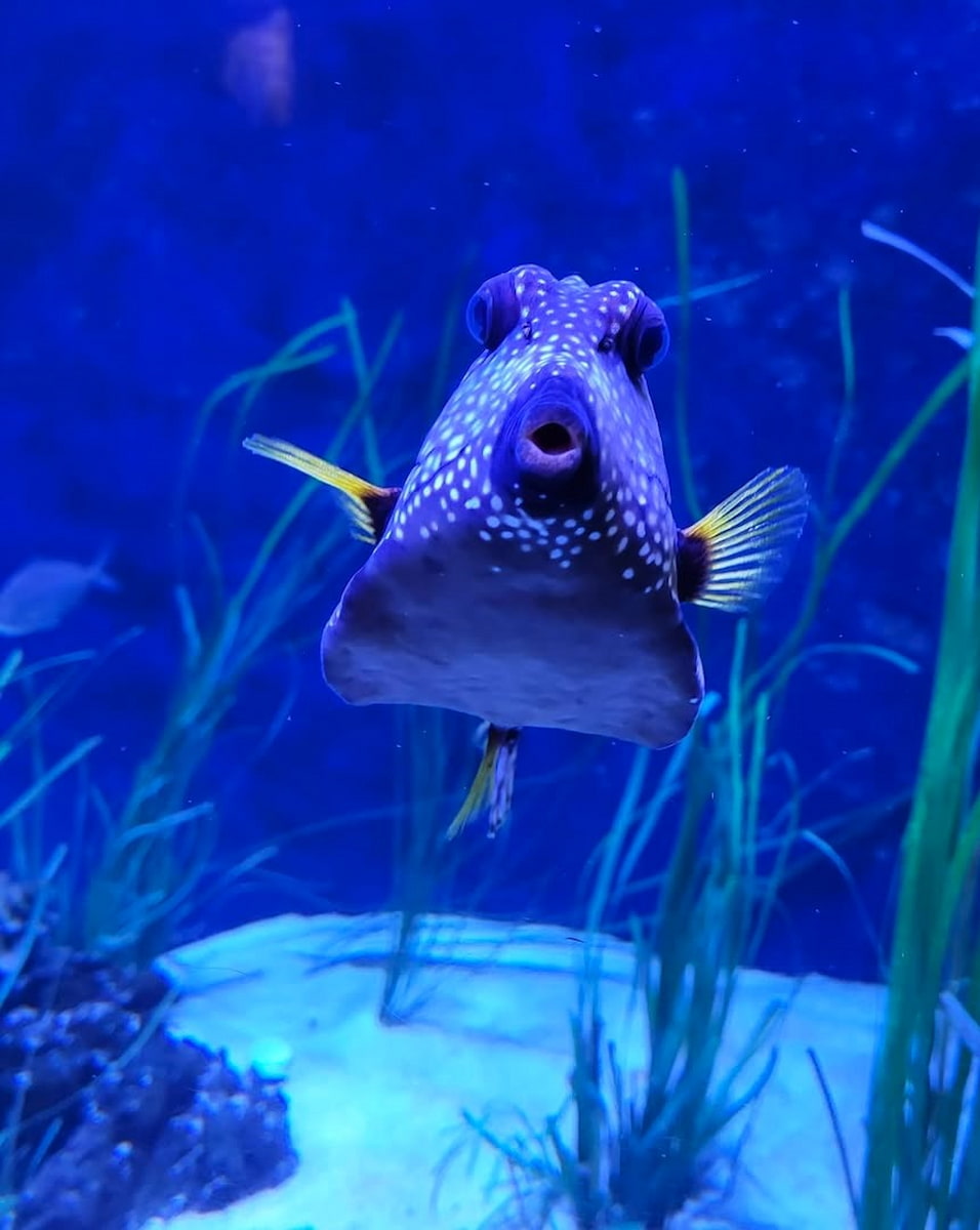 The Florida Aquarium