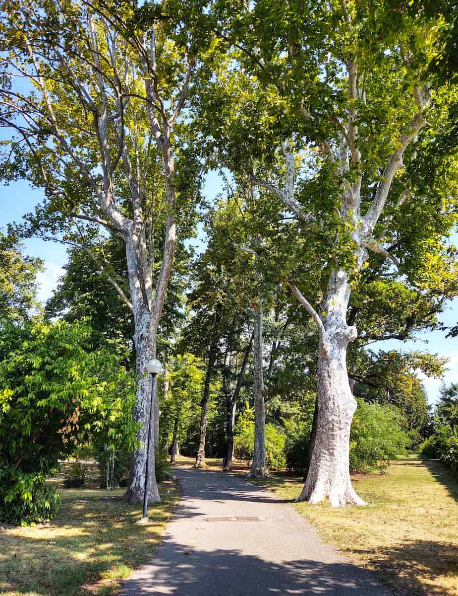 The Regional Natural Park, Treviso