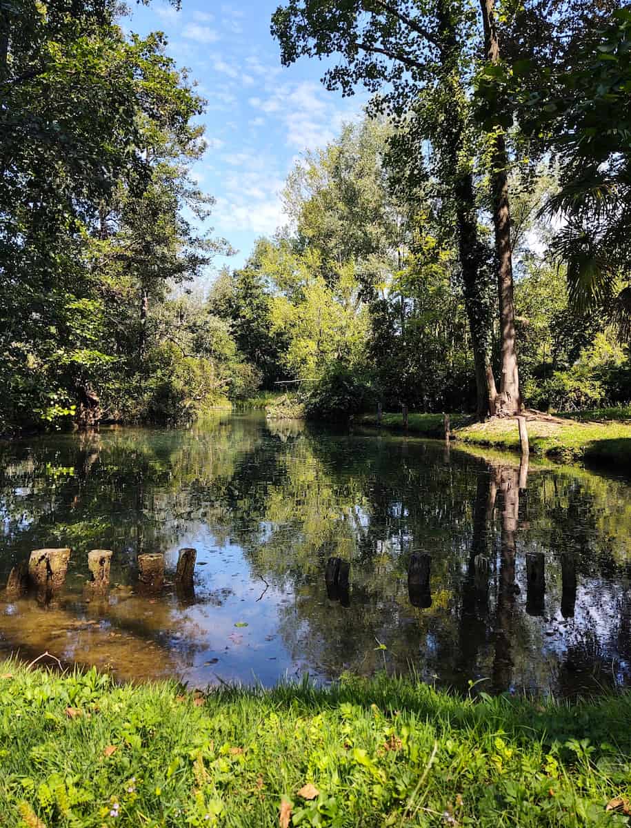 The Regional Natural Park, Treviso