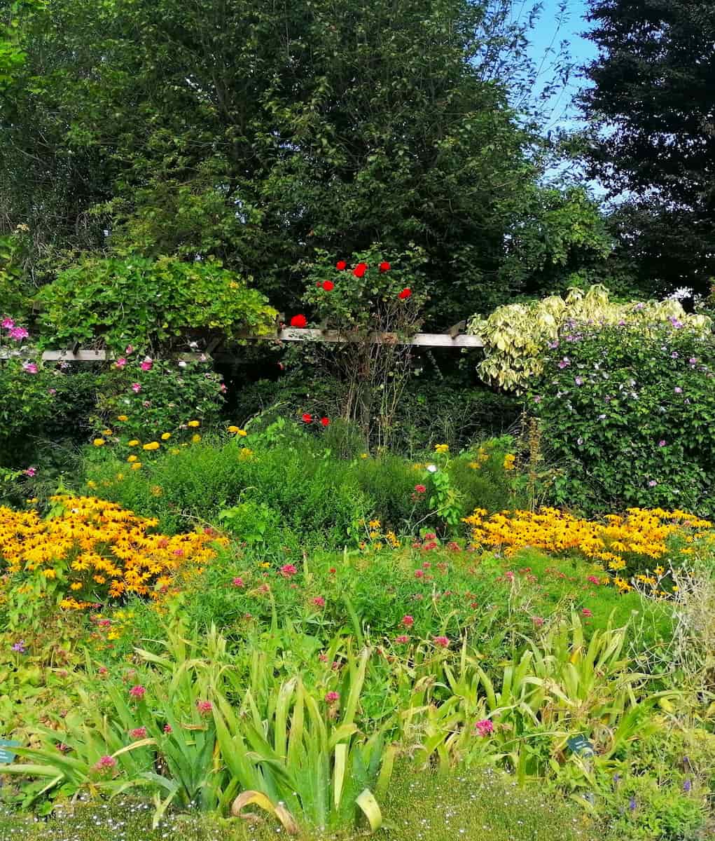 The Schulgarten, Lübeck