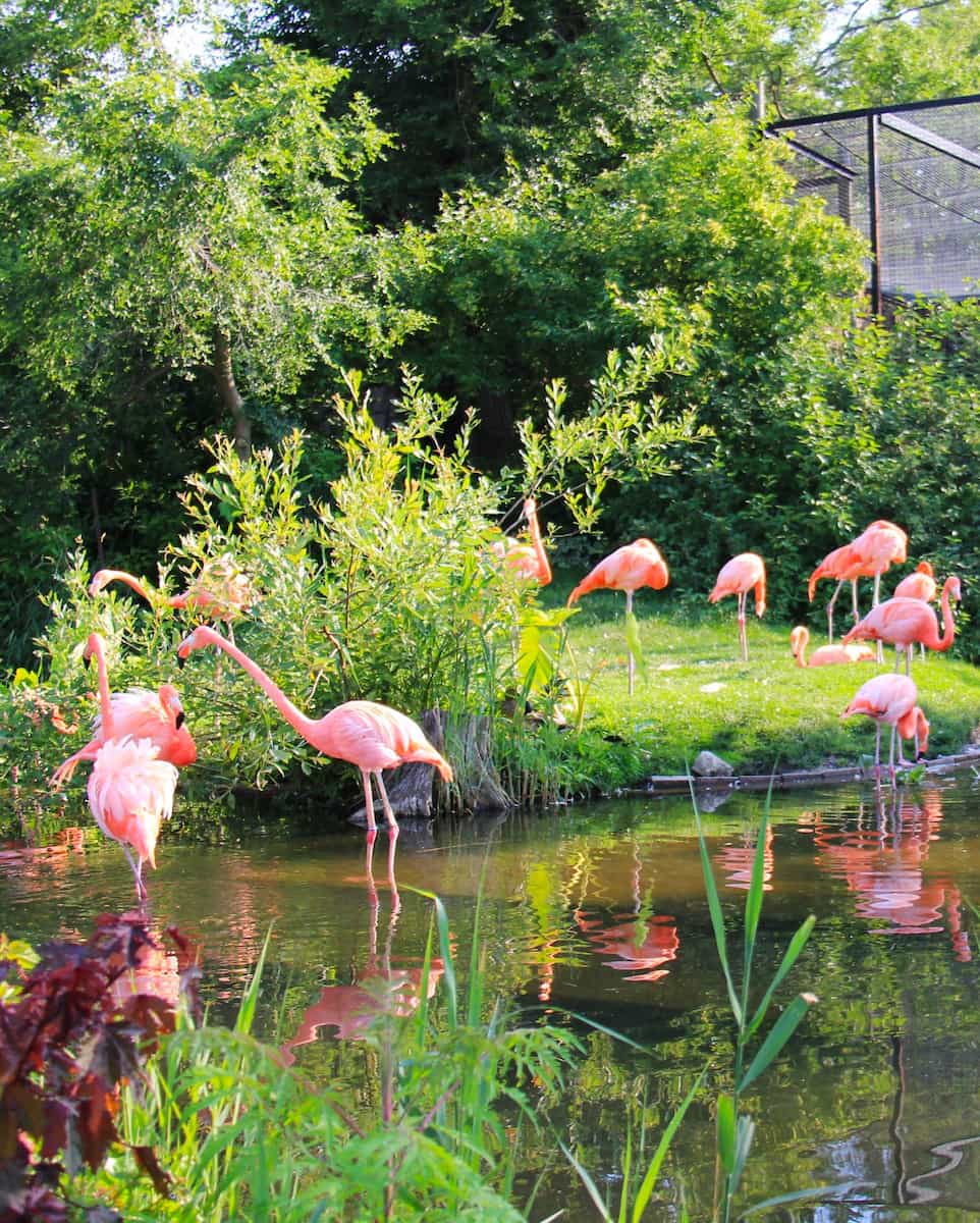 Toronto Zoo, Toronto