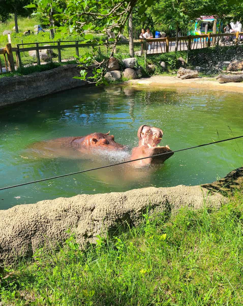 Toronto Zoo, Toronto