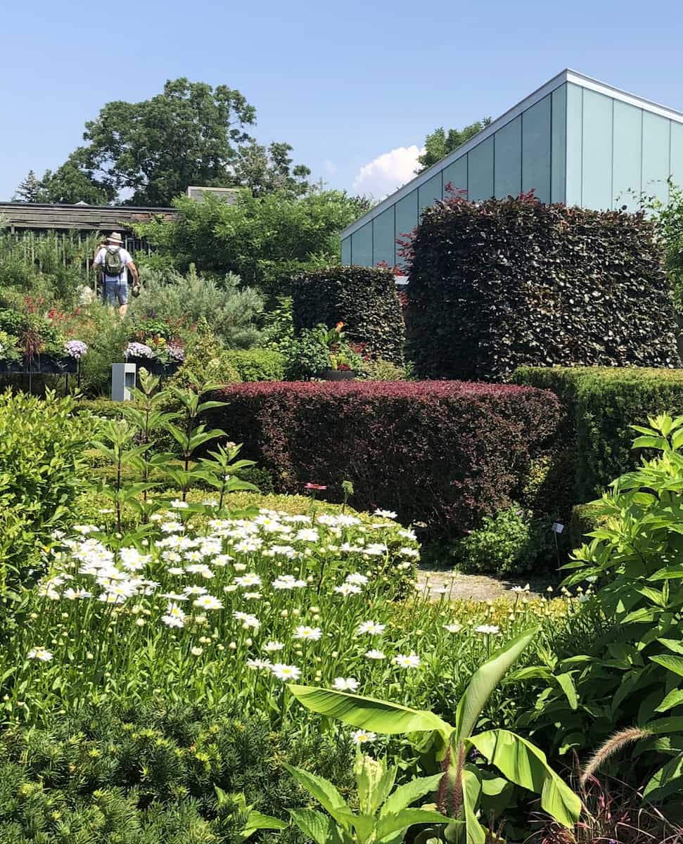 Toronto Botanical Garden