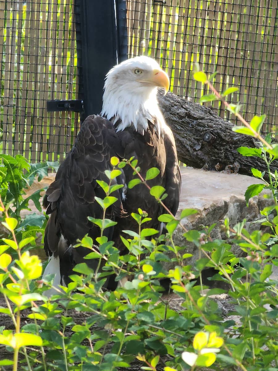 Tracy Aviary Salt Lake City
