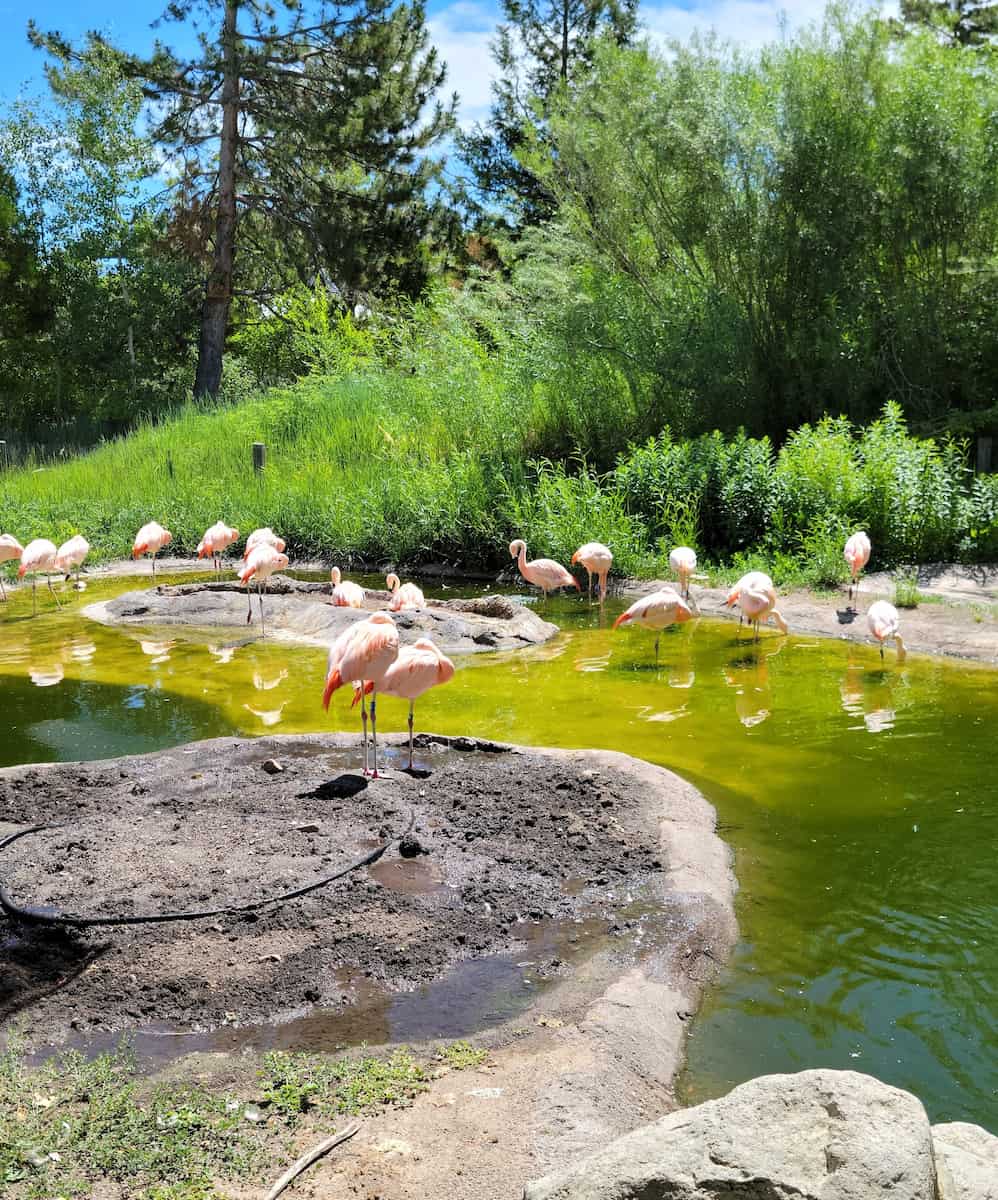 Tracy Aviary Salt Lake City