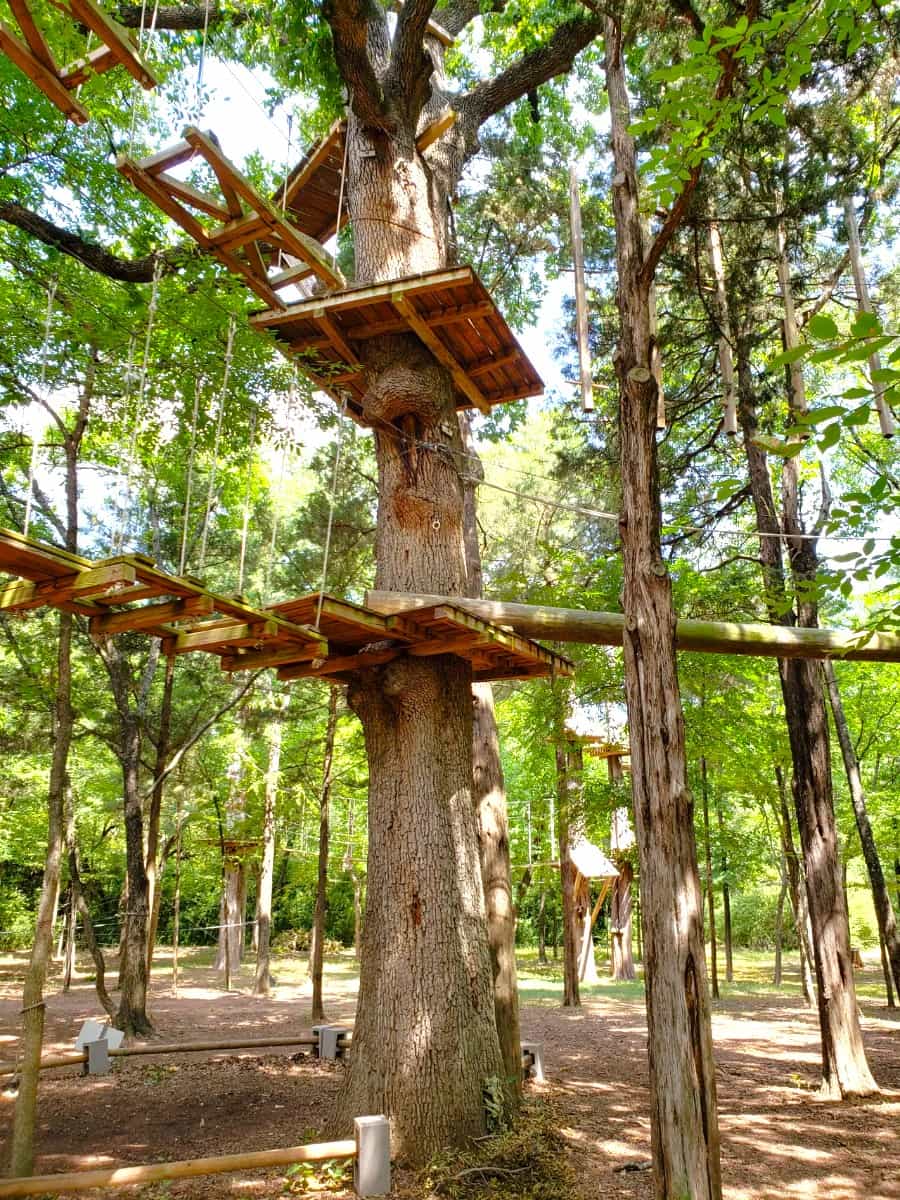 Trinity Forest Adventure Park, Dallas
