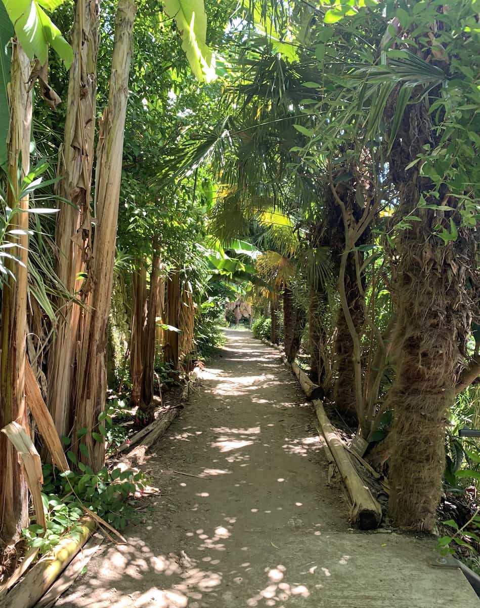 Tropical Gardens Dordogne