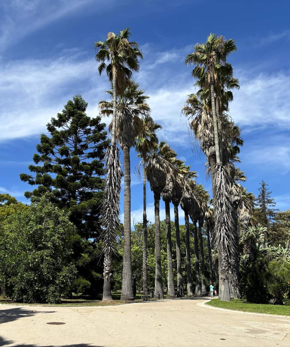Tropical Botanical Garden, Belem