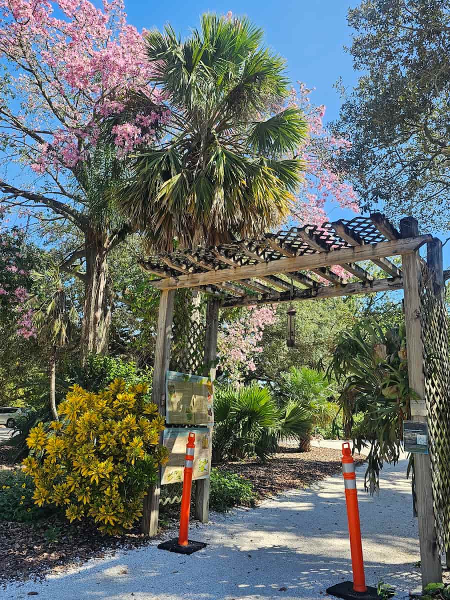 USF Botanical Gardens Tampa