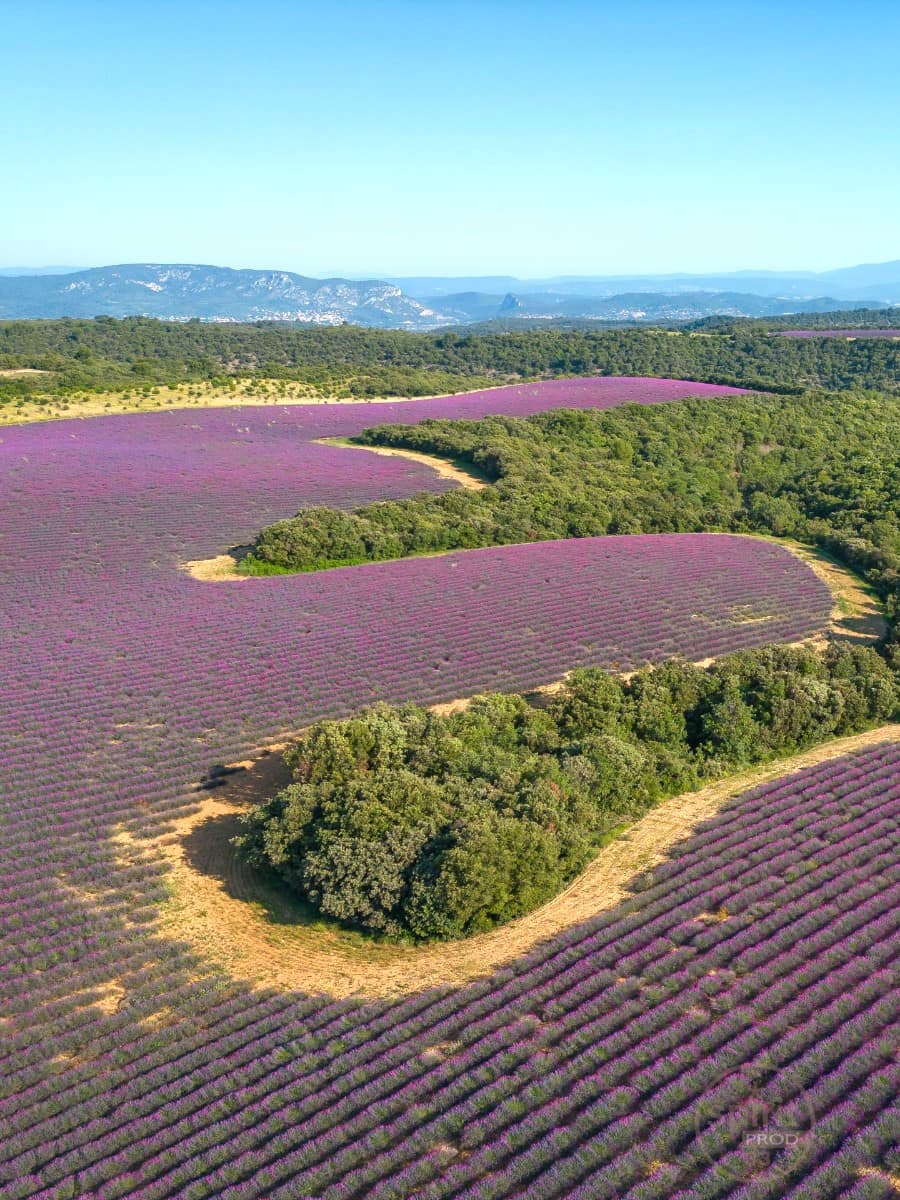 Valensole Plateau, Provence