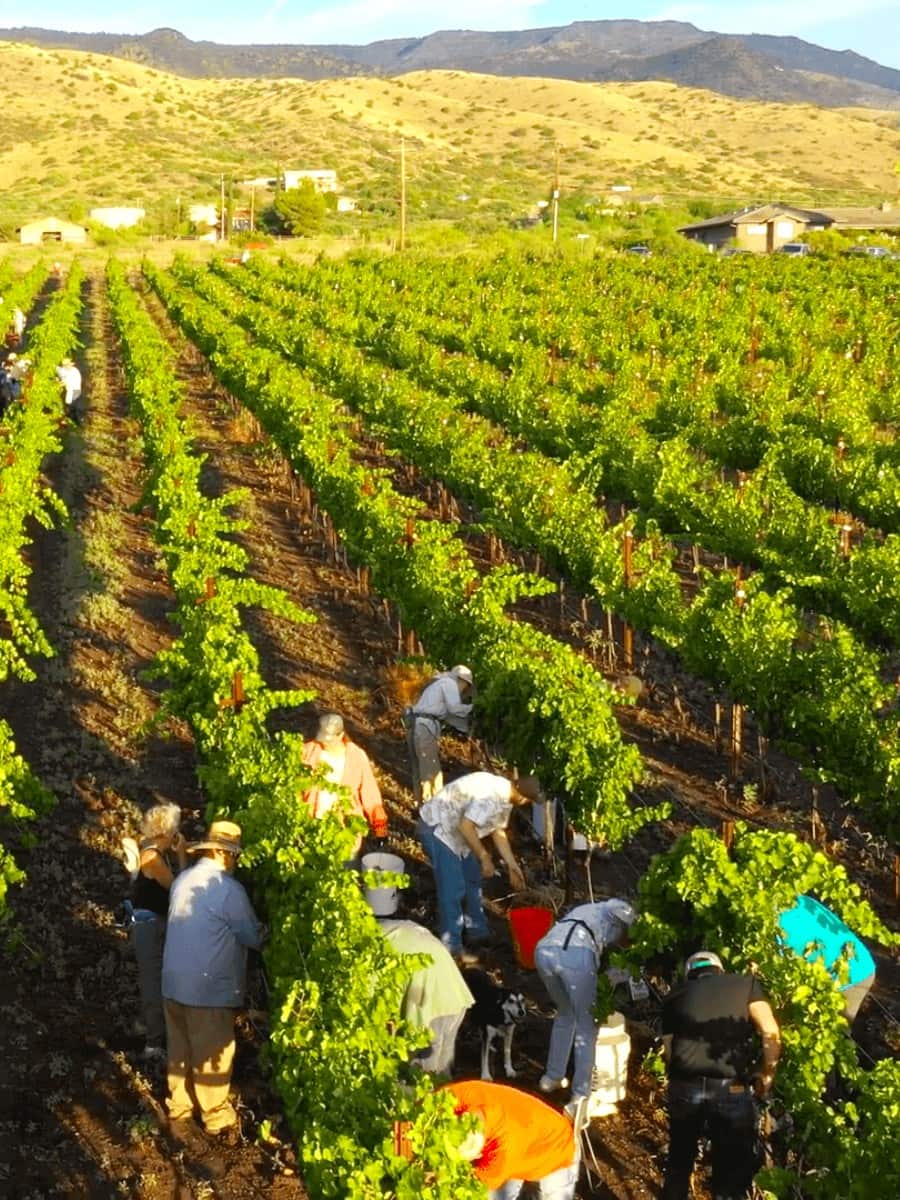 Verde Valley Wine Trail, Sedona