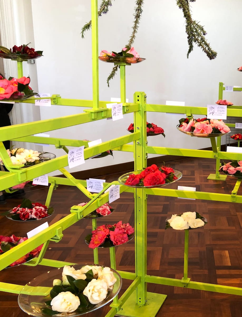 Flower exhibition, Villa Giulia