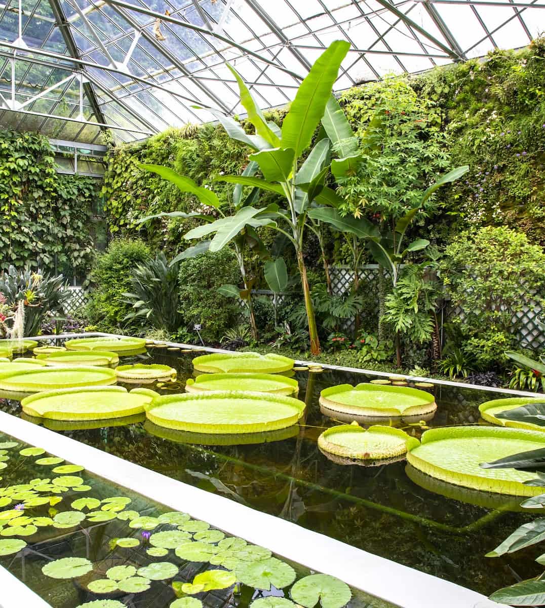 Villa Taranto Gardens, Italy