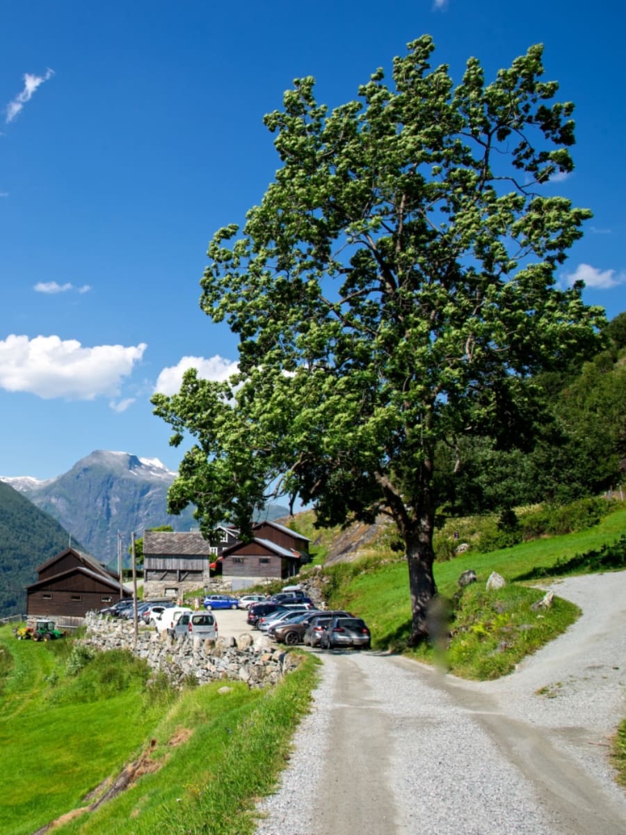 Westerås Farm, Geiranger