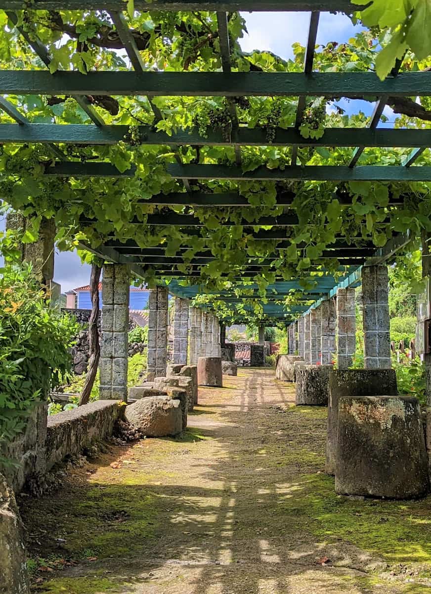 Wine Museum in Biscoitos