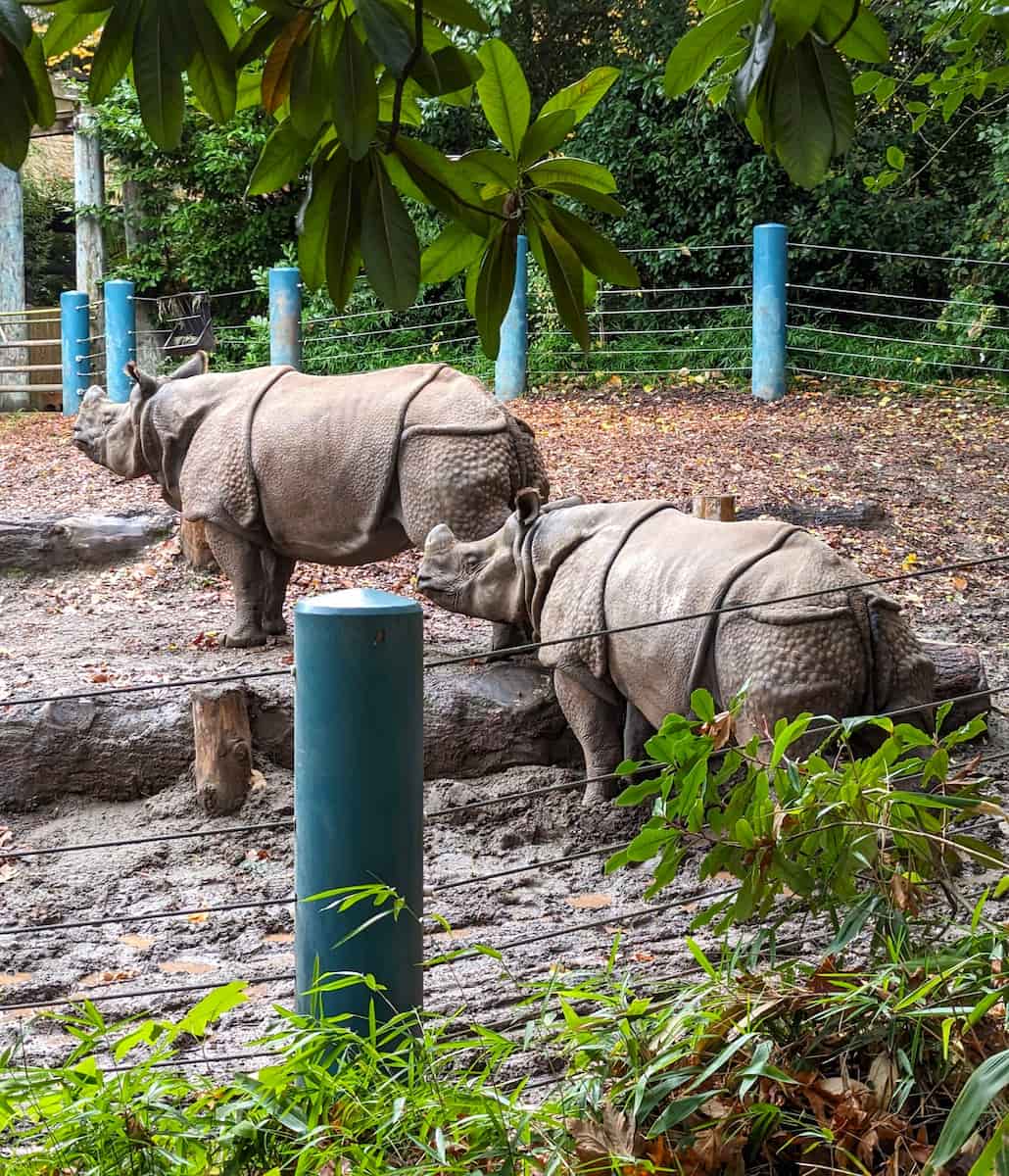 Woodland Park Zoo, Seattle