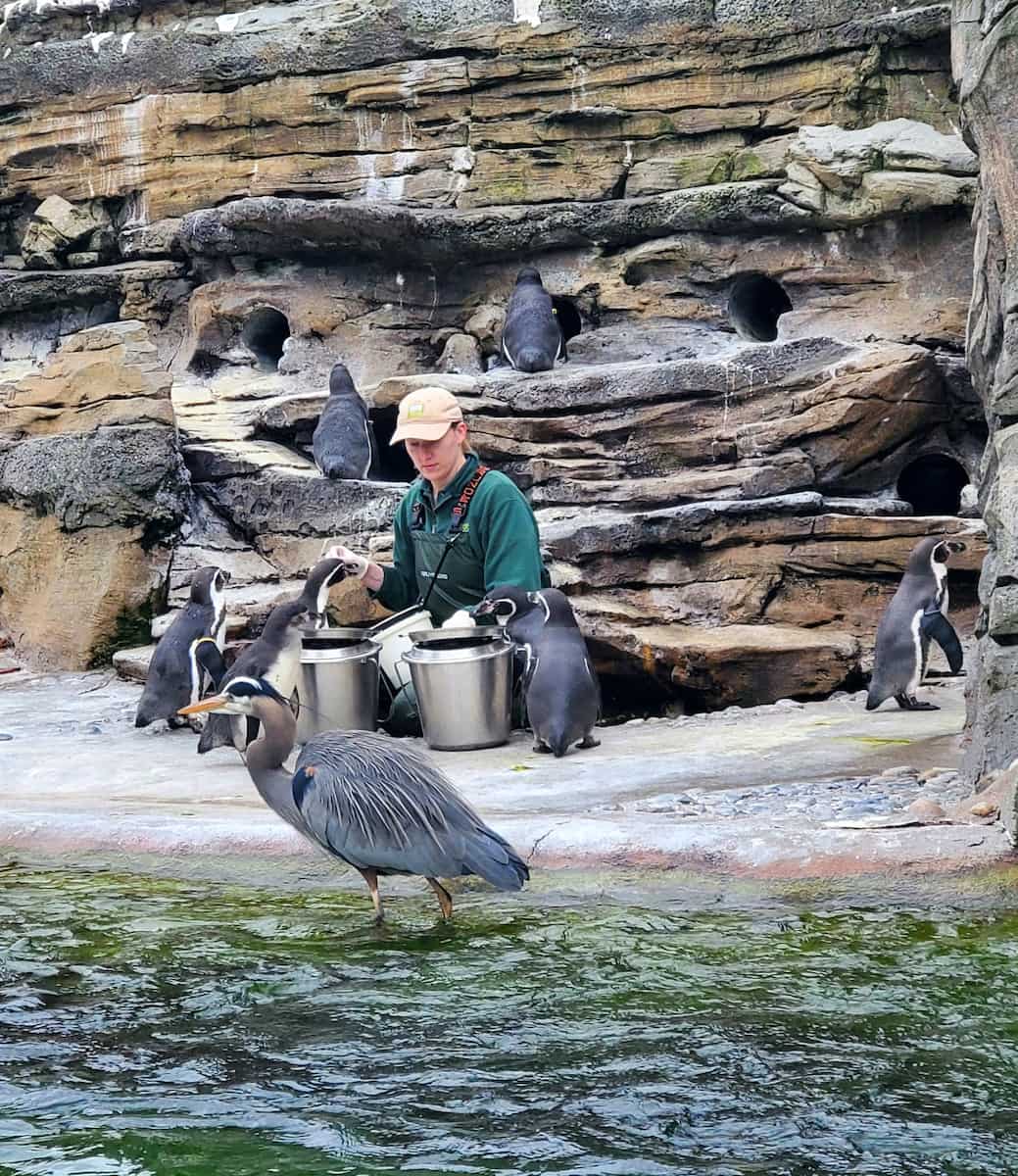 Woodland Park Zoo, Seattle