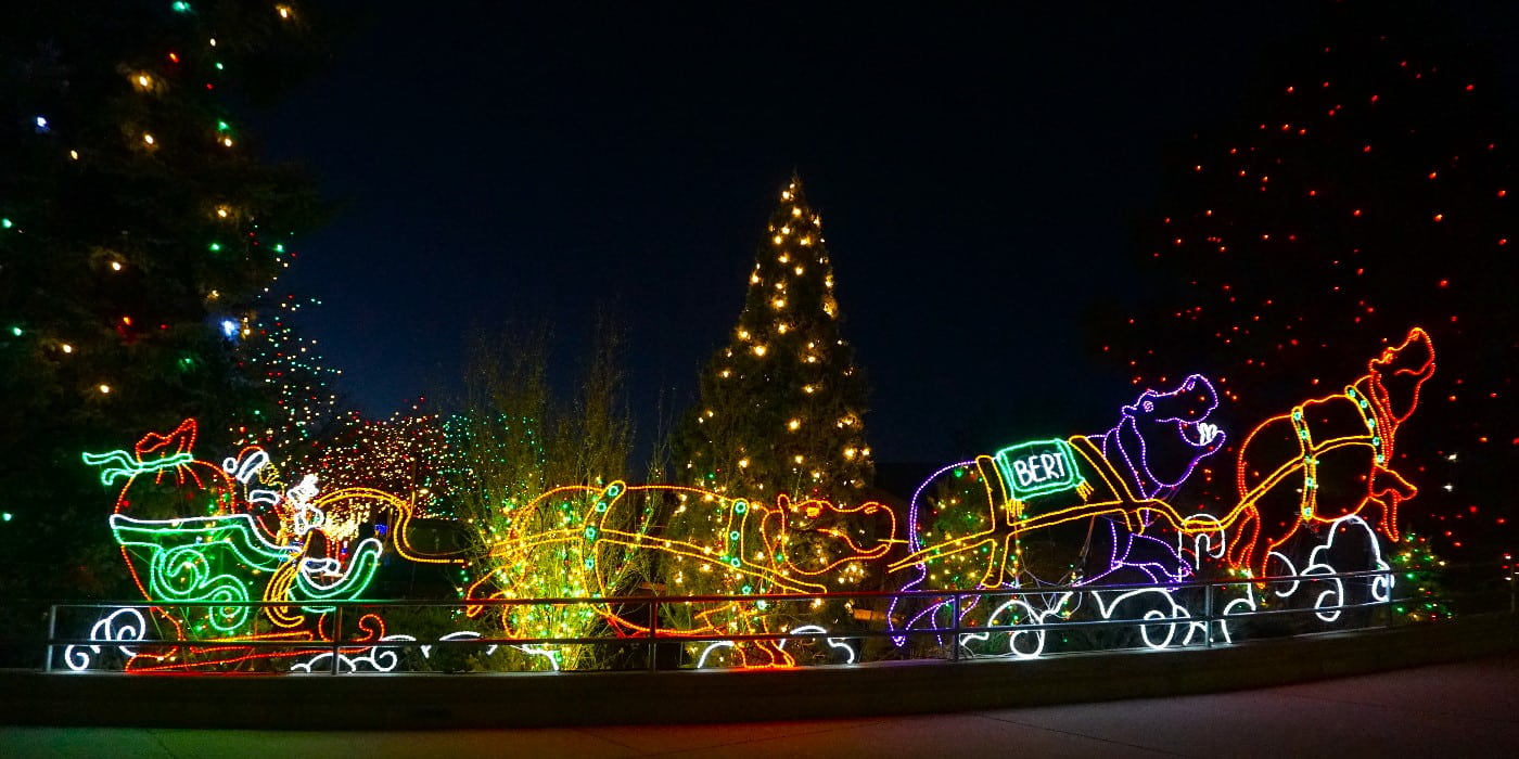 ZooLights, Washington DC