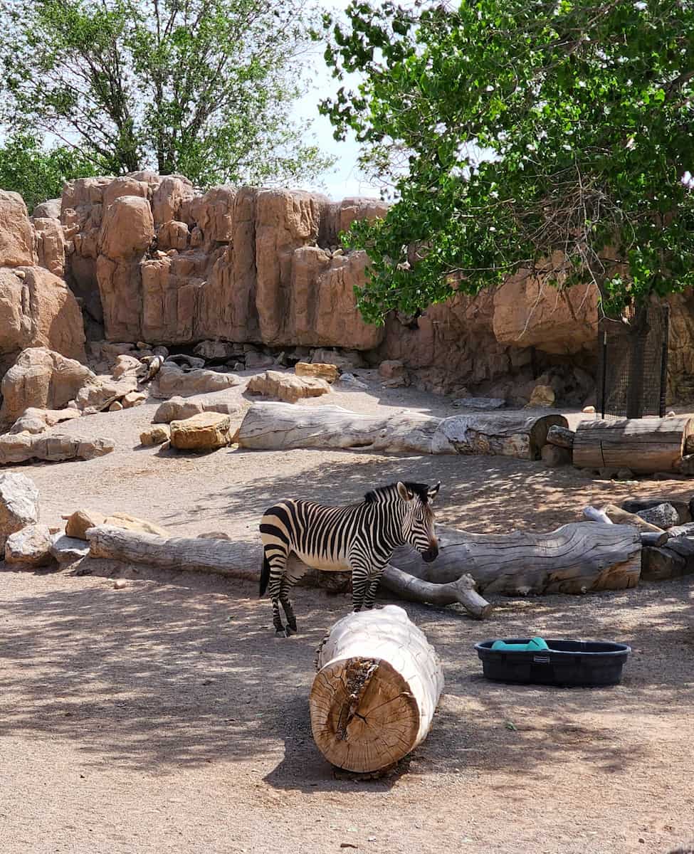 ABQ BioPark Zoo, Albuquerque