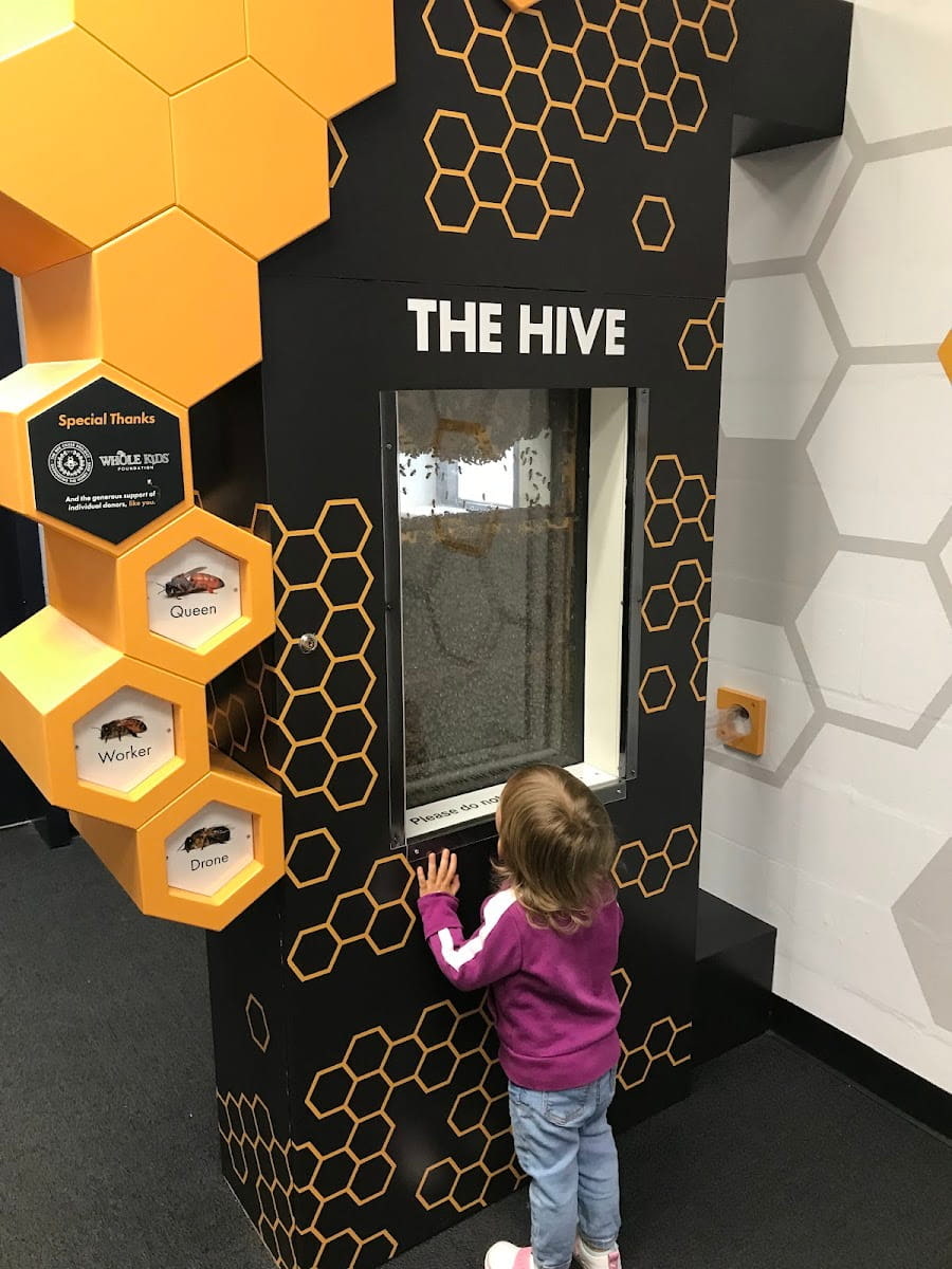 Inside of Adventure Science Center, Tennessee