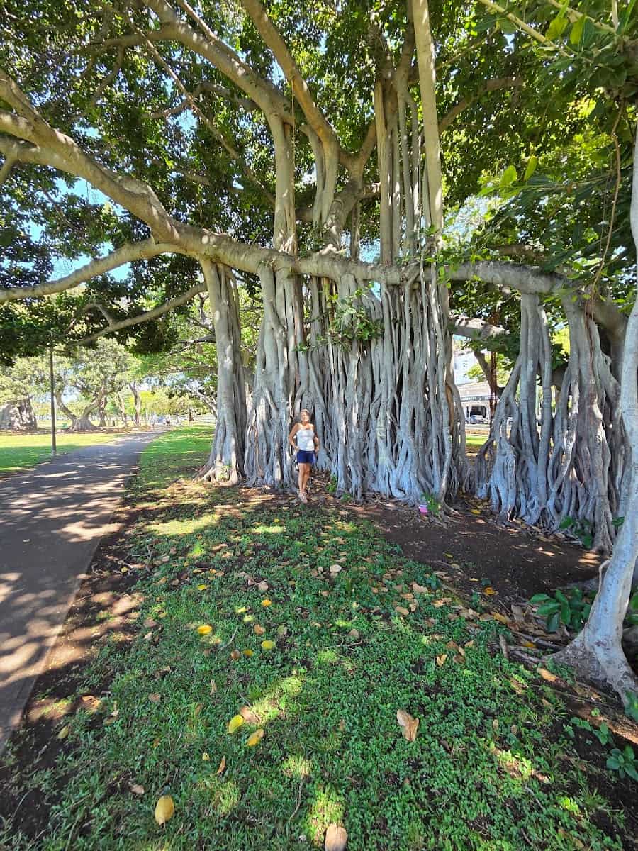 Ala Moana Park, Oahu