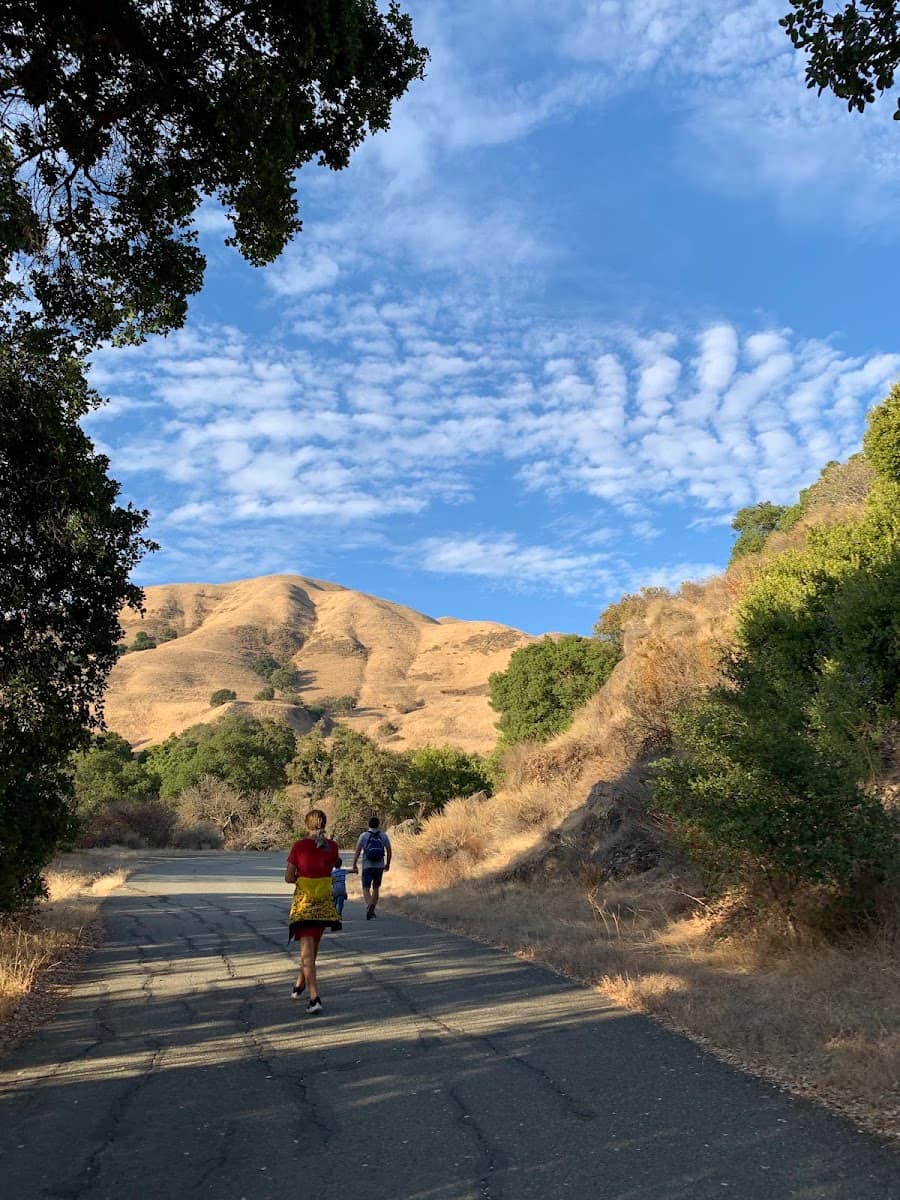 Alum Rock Park, San Jose, USA