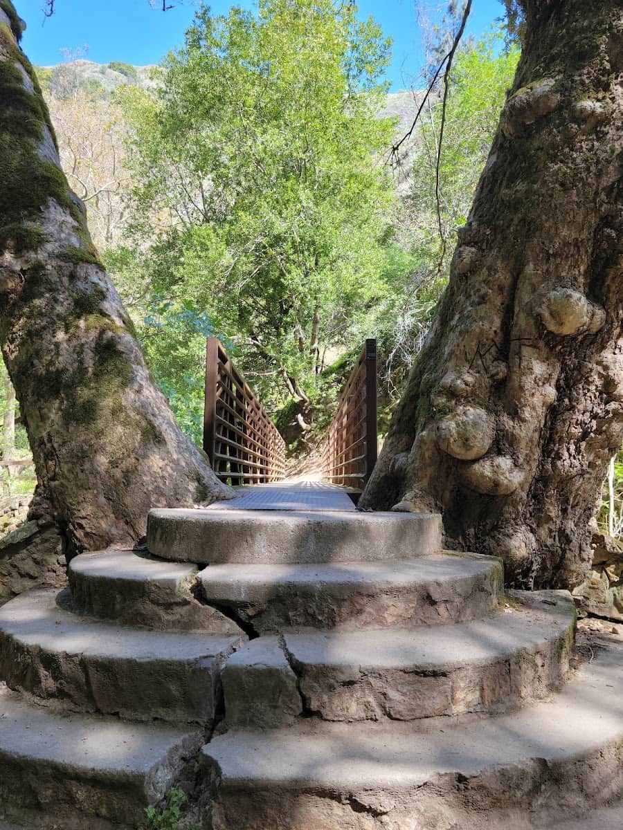 Alum Rock Park, San Jose, USA