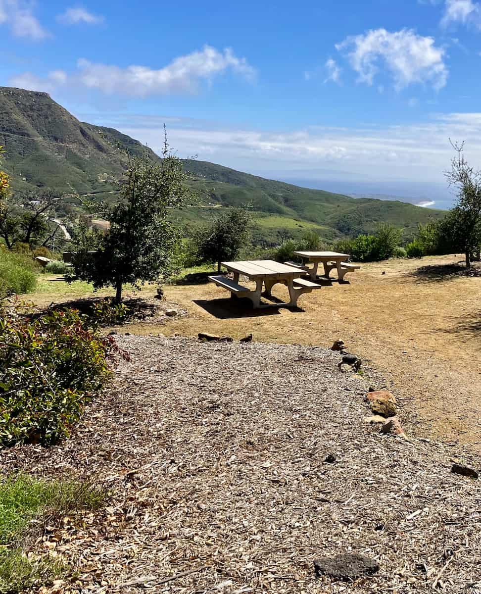 Angeles National Forest, LA