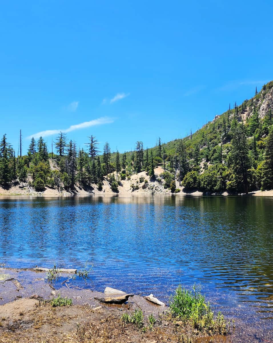 Angeles National Forest, LA