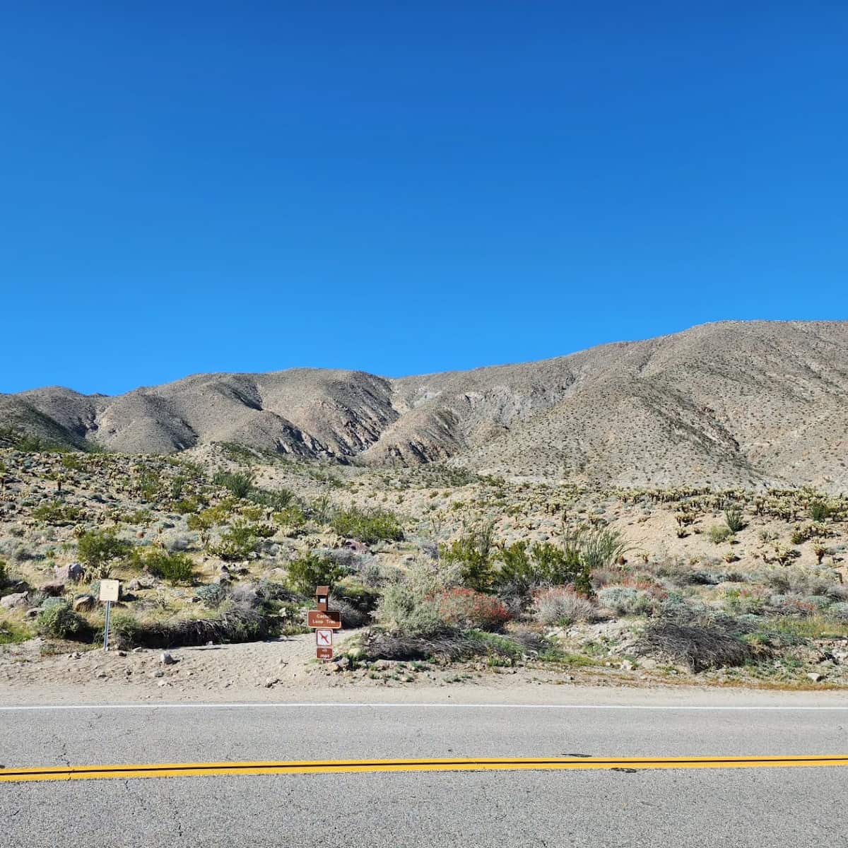 Anza-Borrego Desert State Park