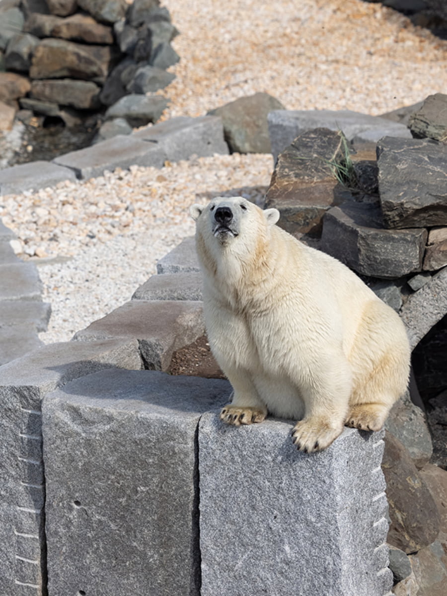Aquarium du Québec, Quebec City