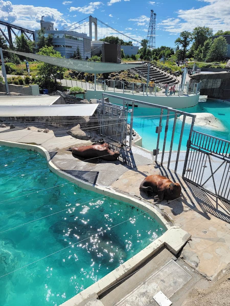 Aquarium du Québec, Quebec City