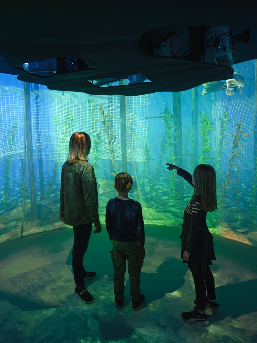 Aquarium du Québec, Quebec City