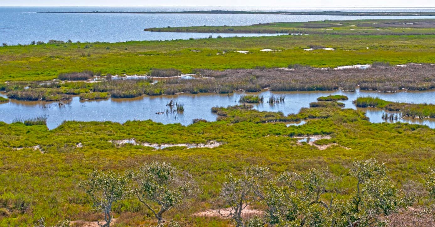 Aransas National Wildlife Refuge, TX