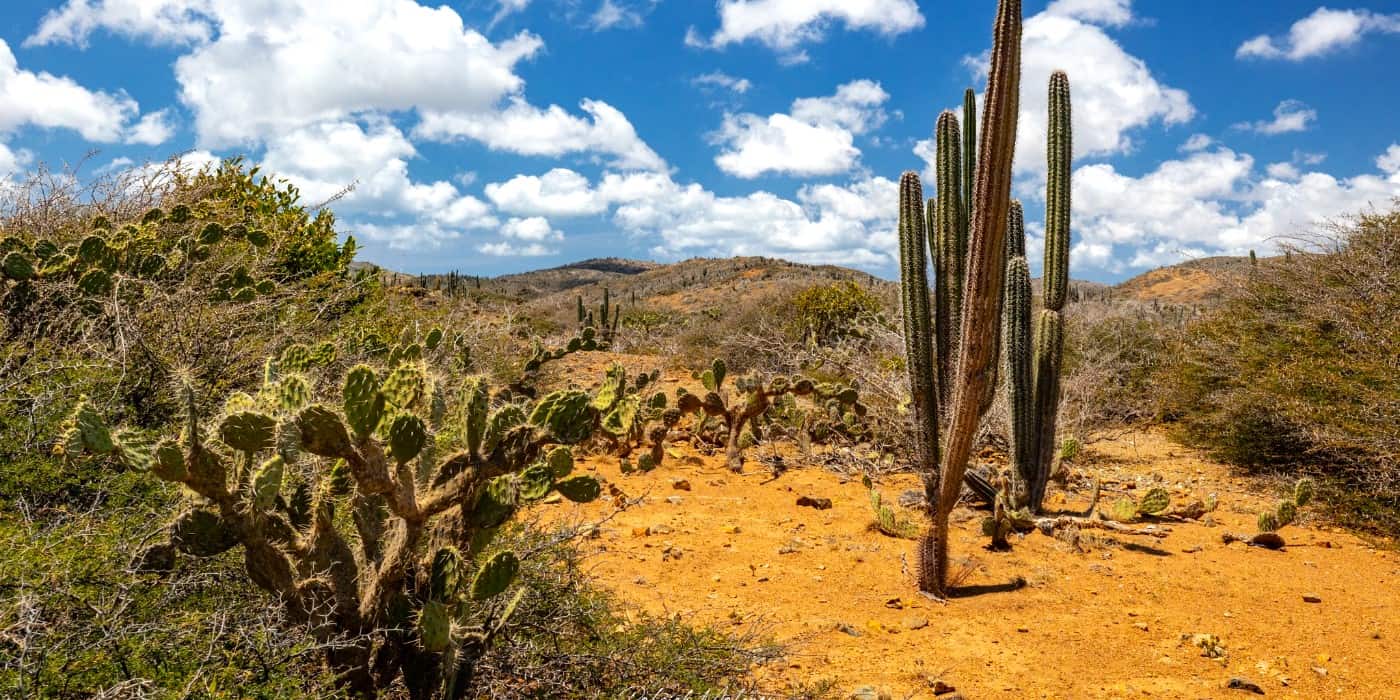 Arikok Desert Aruba