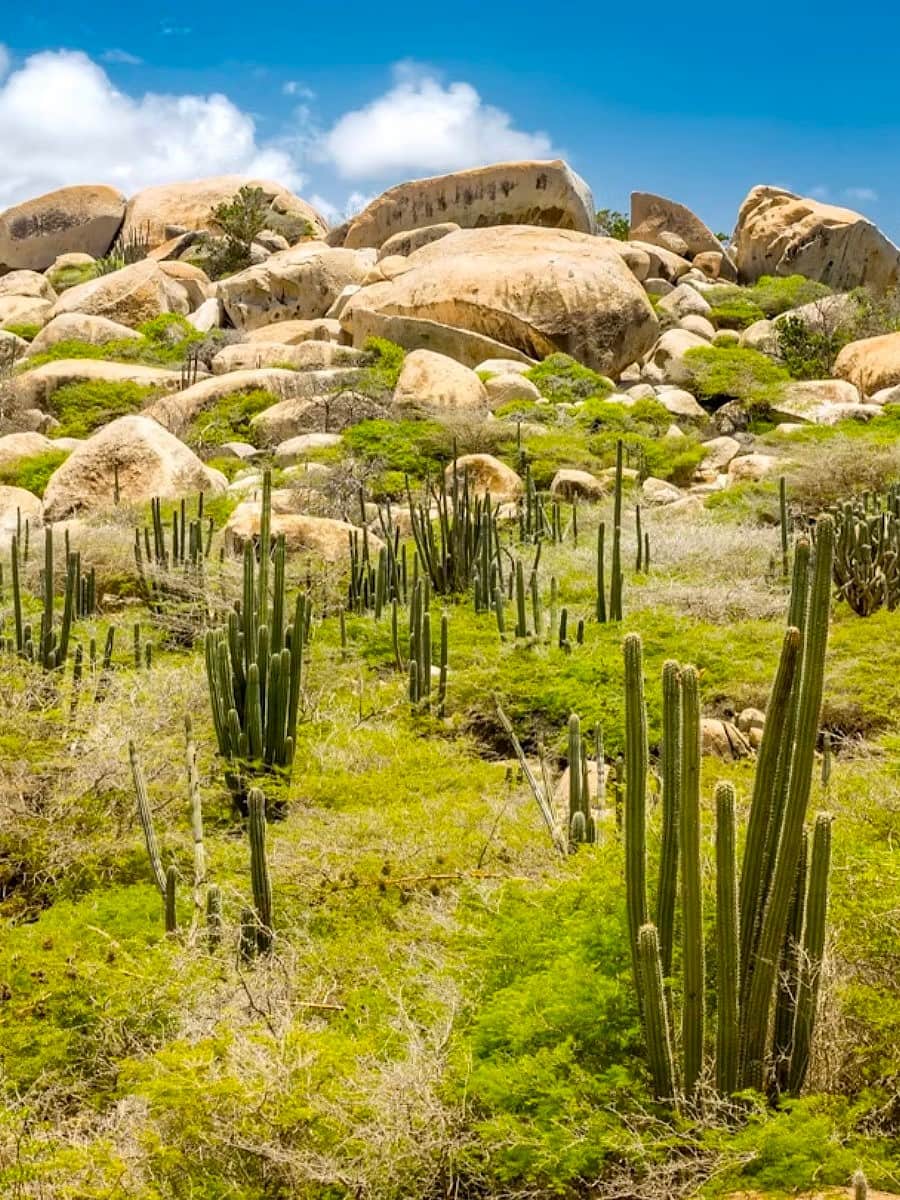 Arikok National Park, Aruba