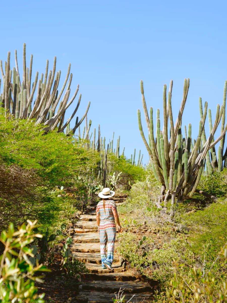 Arikok National Park, Aruba