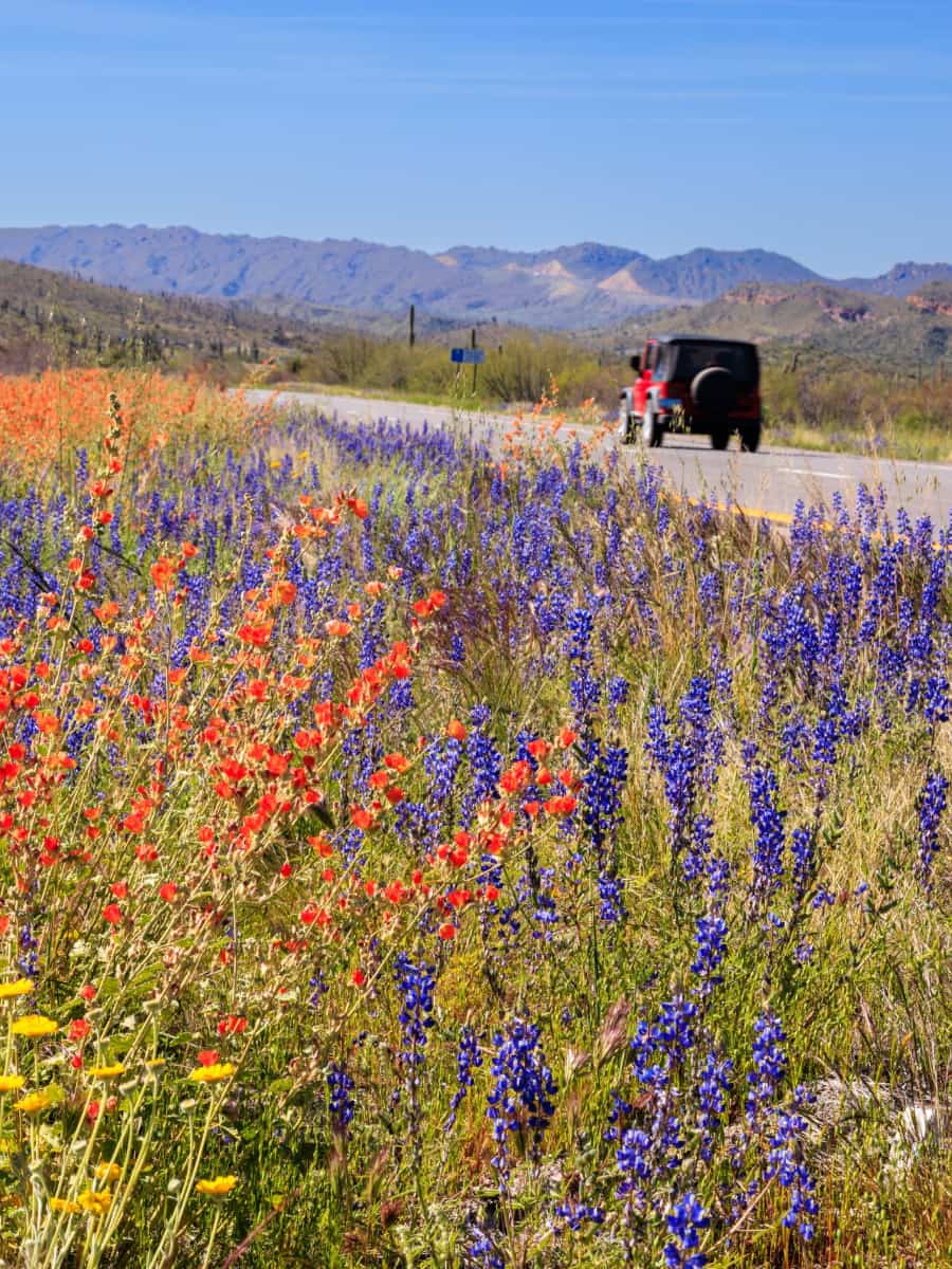 Arikok National Park, Aruba